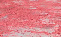 惠州鑫遠程自動化【前處理包銅箔脫鋁箔一體機】初八開工啦??！